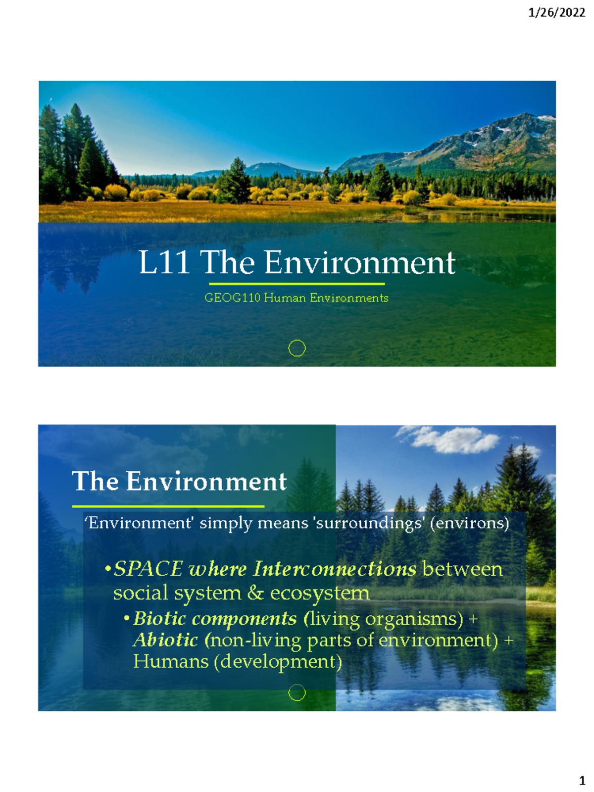 L11 The Environment - study - L11 The Environment GEOG110 Human ...