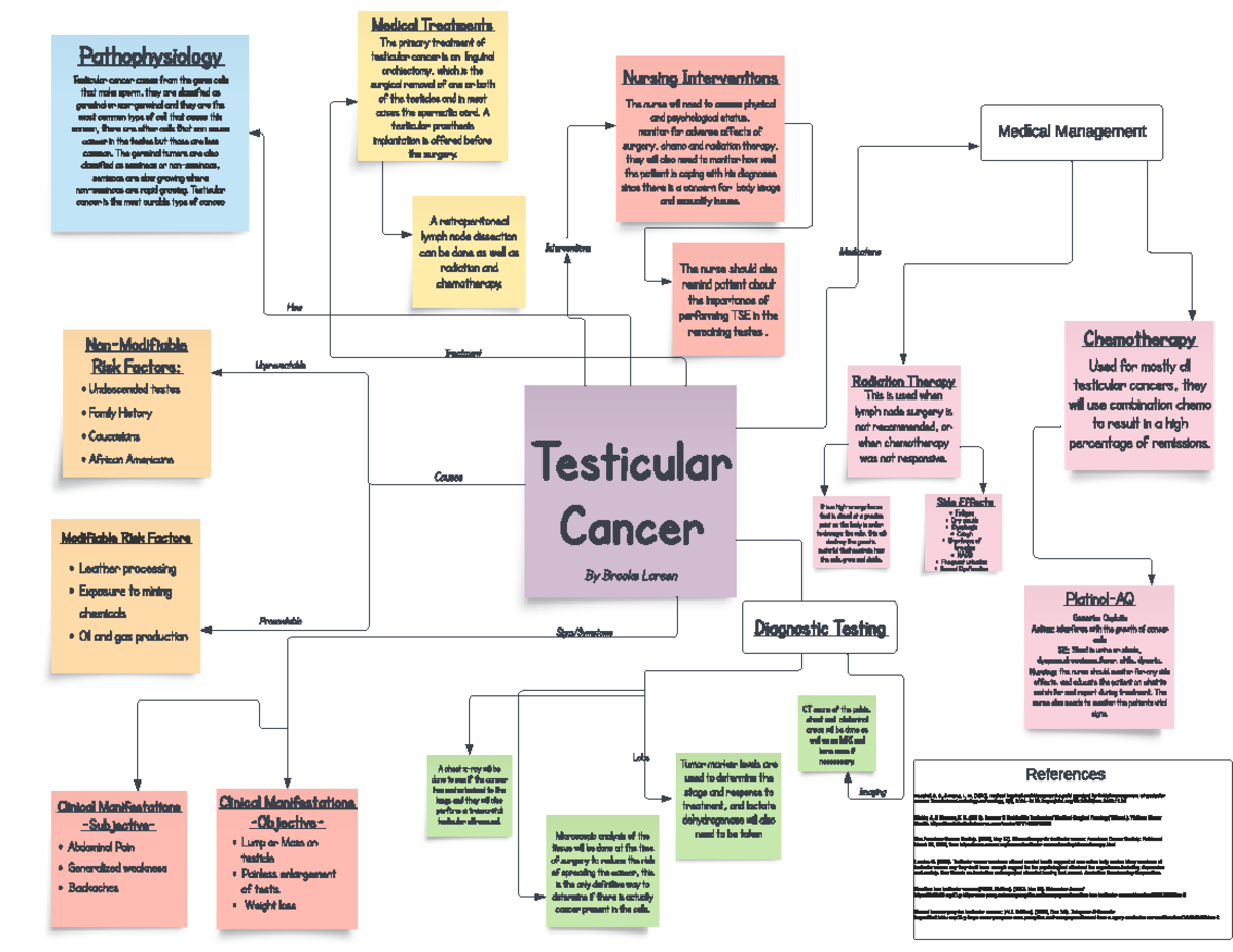 Testicular Cancer Causes Preventable How Testicular Cancer Non Modif