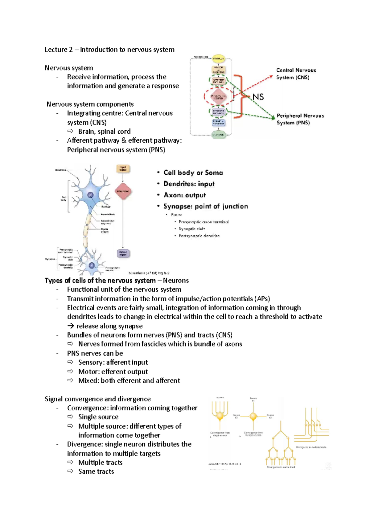 Lecture 2 - nervous system - Lecture 2 – introduction to nervous system ...