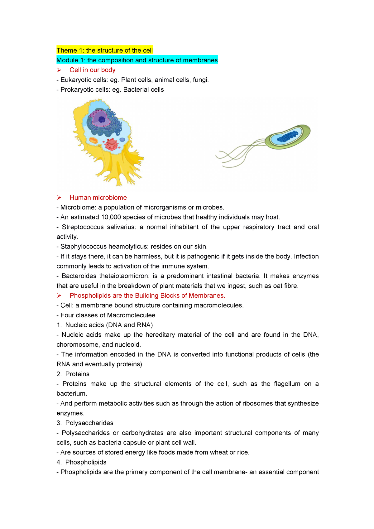 Biology 1A03 Notes T1M(1-4)+T2M1 - Theme1:thestructureofthecell - Studocu