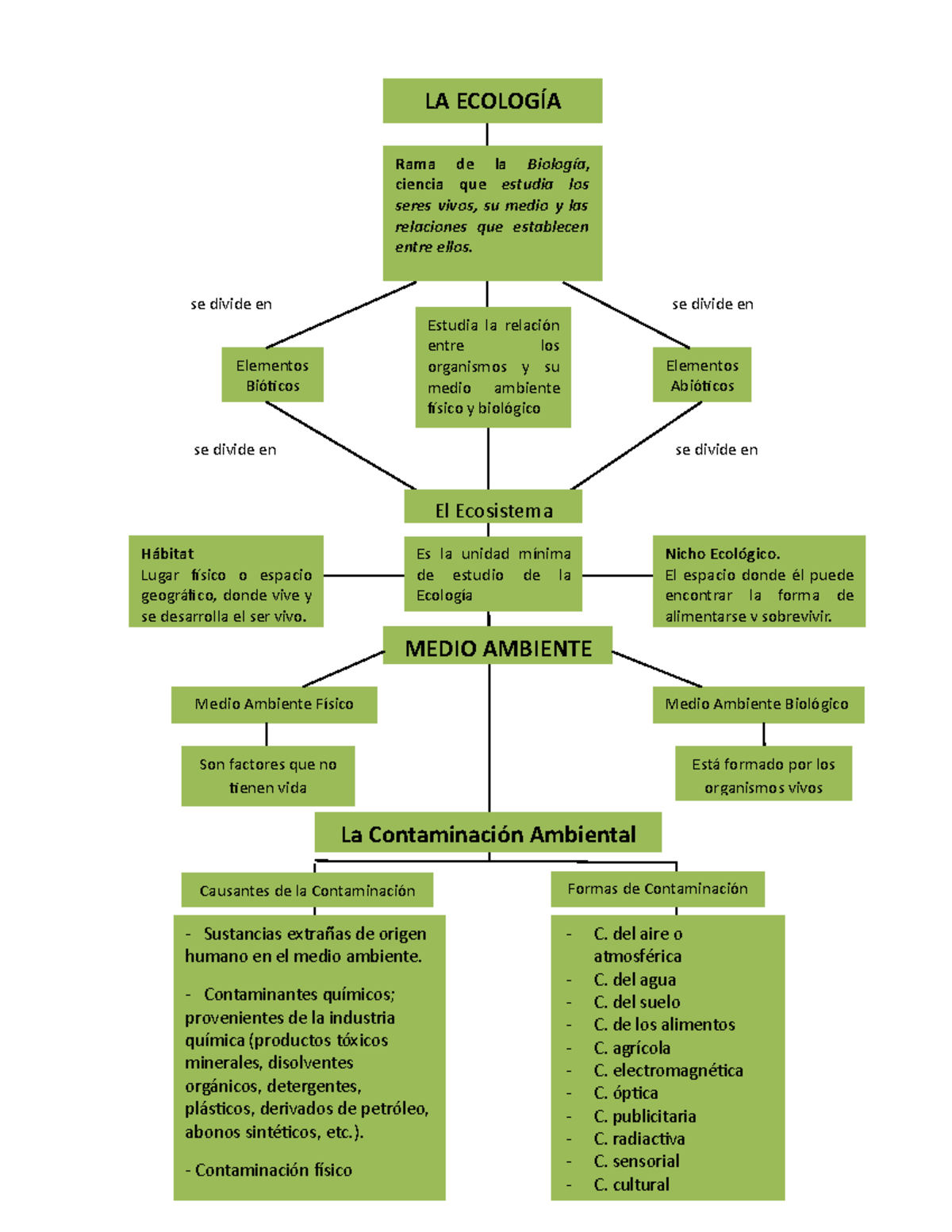 Mapa Conceptual De La Ecologia Se Divide En Se Divide En Se Divide En Se Divide En Rama De La 7480