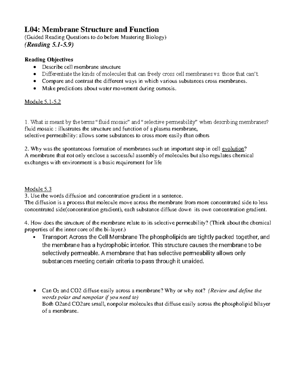 Lesson++4 GRQs ....... - L04: Membrane Structure and Function (Guided ...