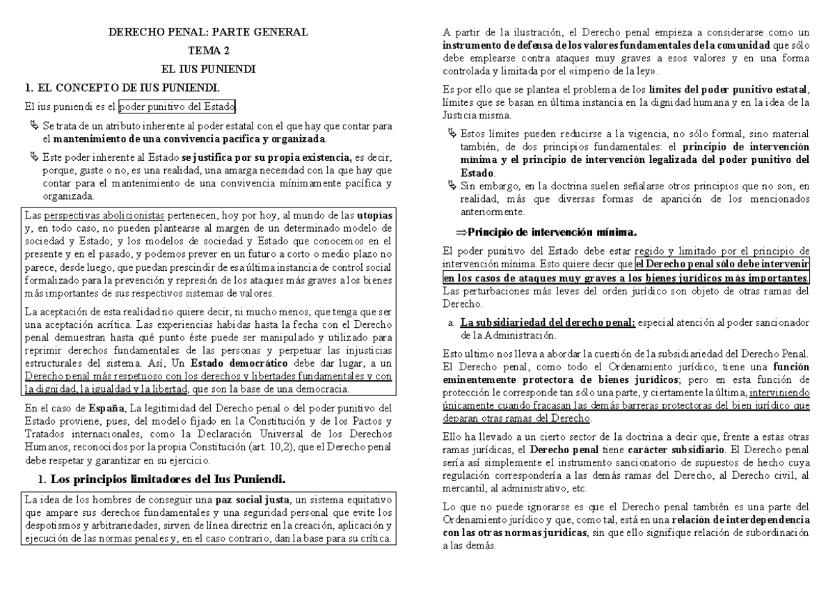 Penal General 2 Derecho Penal Parte General Tema 2 El Ius Puniendi 1 El Concepto De Ius 9805