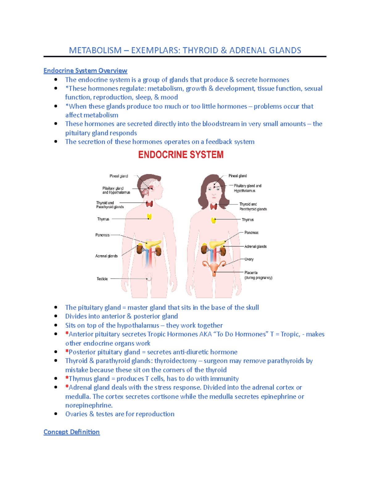 Thyroid & Adrenal Notes - METABOLISM – EXEMPLARS: THYROID & ADRENAL ...