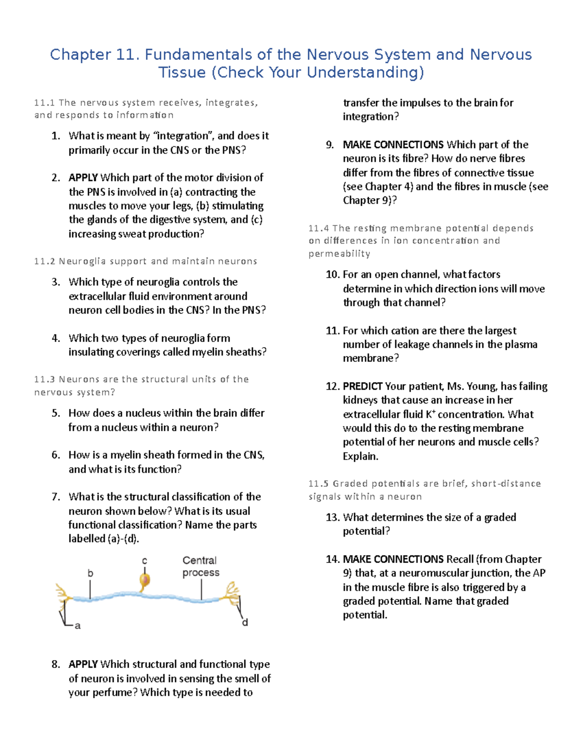 Chapter 11. (Check Your Understanding Questions) - Chapter 11 ...