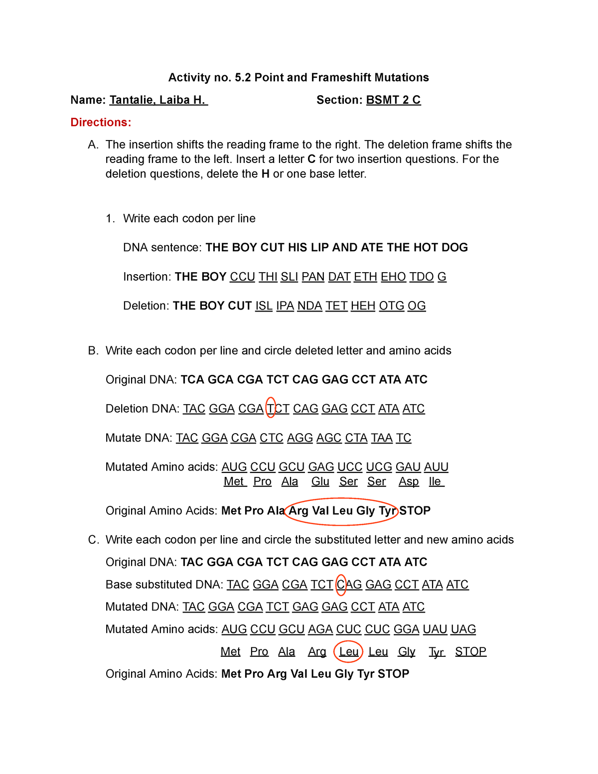 activity-no-7-2-point-and-frameshift-mutation-activity-no-5-point