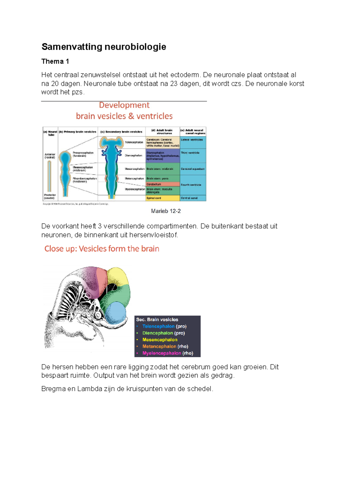 Samenvatting Neuro - Samenvatting Neurobiologie Thema 1 Het Centraal ...