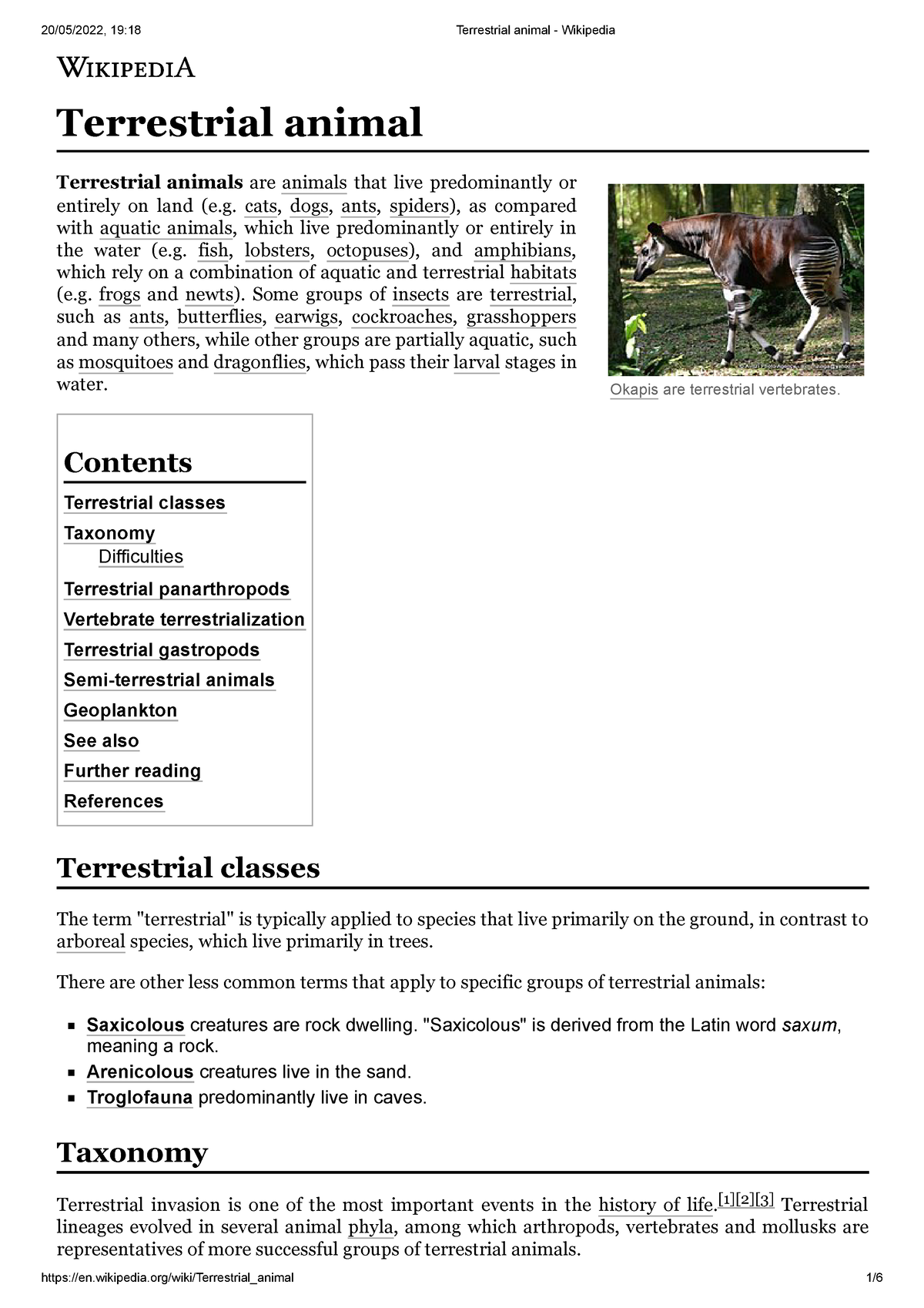 Terrestrial animal - ASD - Okapis are terrestrial vertebrates. Terrestrial  animal Terrestrial - Studocu