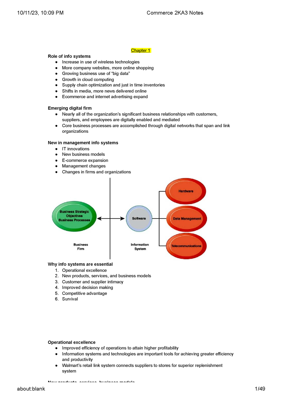 Commerce 2KA3 Notes On - Summary Information Systems In Business ...