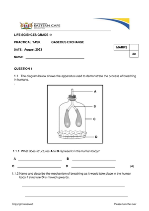 Prac 2- Transport system in mammals- Grade 10- 4 August 2023 - Grade 10