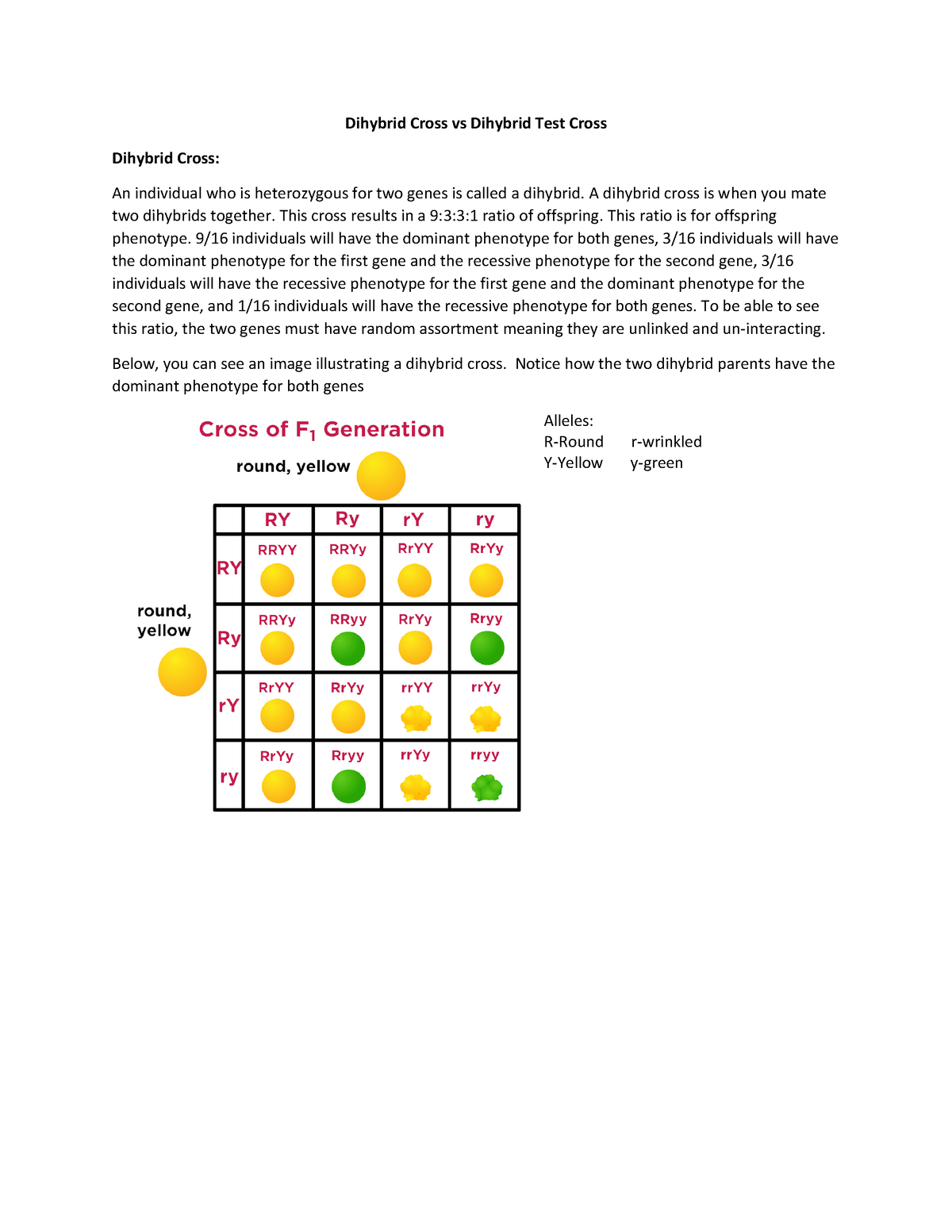 Dihybrid cross test cross worksheet Dihybrid Cross vs Dihybrid Test