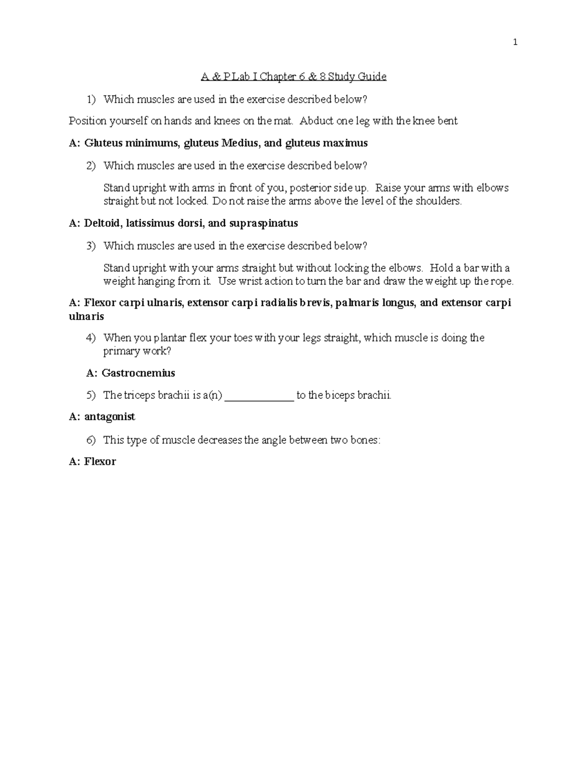 A And P Lab I Chapter 6 And 8 Study Guide - A & P Lab I Chapter 6 & 8 ...