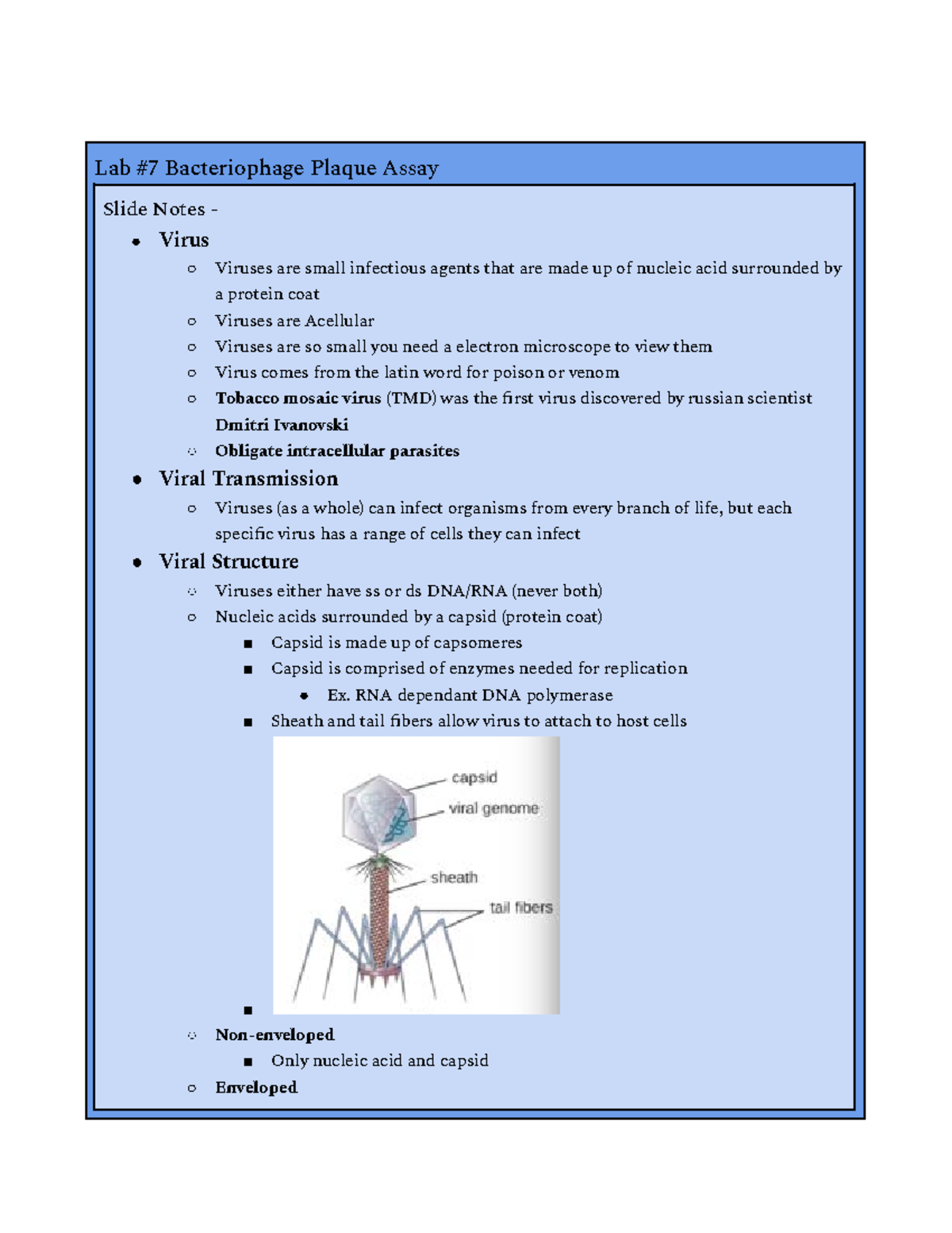 Micro Lab Practical Review Lab 7 Bacteriophage Plaque
