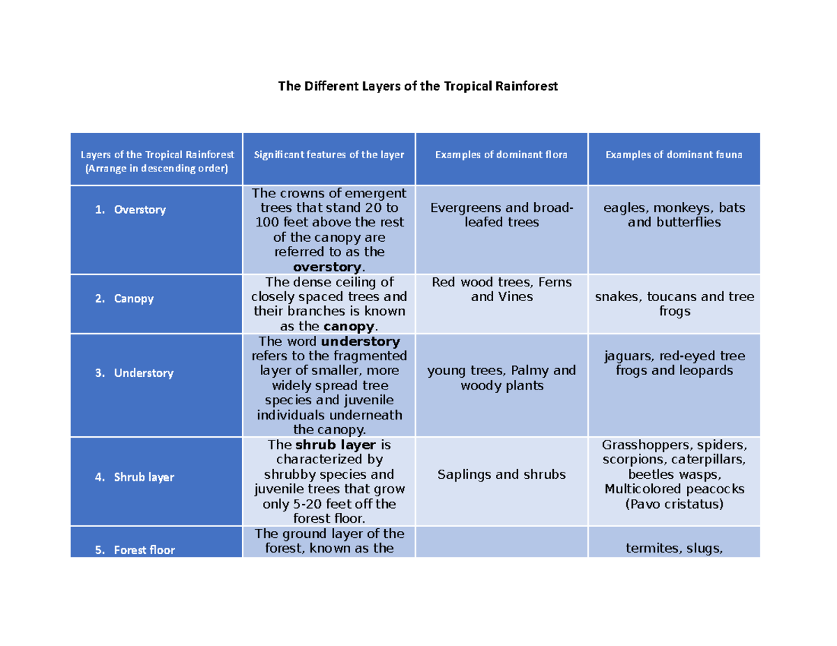 Different Layers of Tropical Rainforest - The Different Layers of the ...