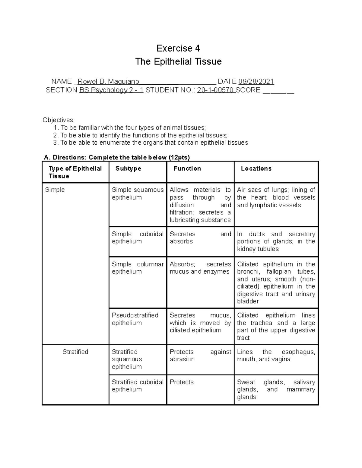 Exercise 4 - The Epithelial Tissue - Exercise 4 The Epithelial Tissue ...