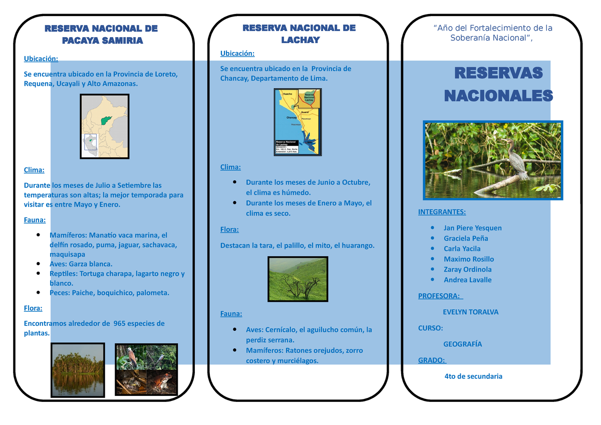 394337164 Triptico Reservas Naturales Reserva Nacional De Lachay Reserva Nacional De Pacaya 4014