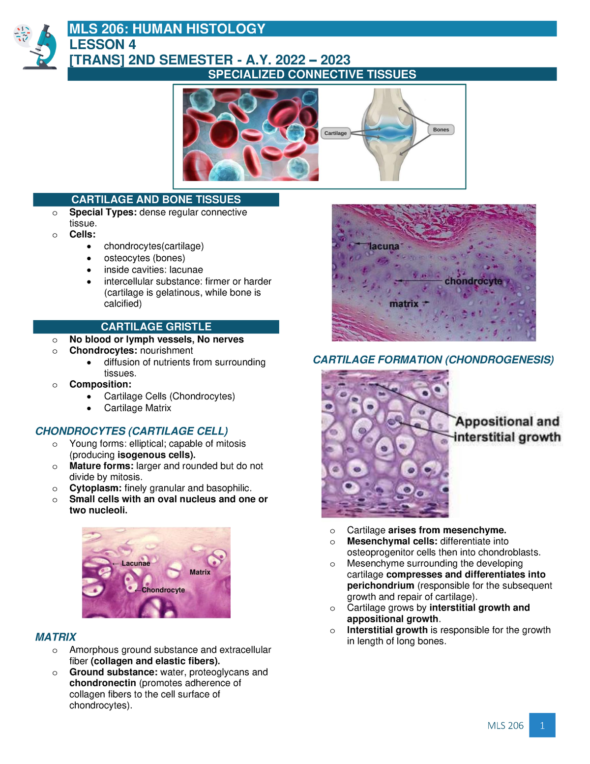 Histo-lesson 4 - Hehe - MLS 206: HUMAN HISTOLOGY LESSON 4 [TRANS] 2ND ...