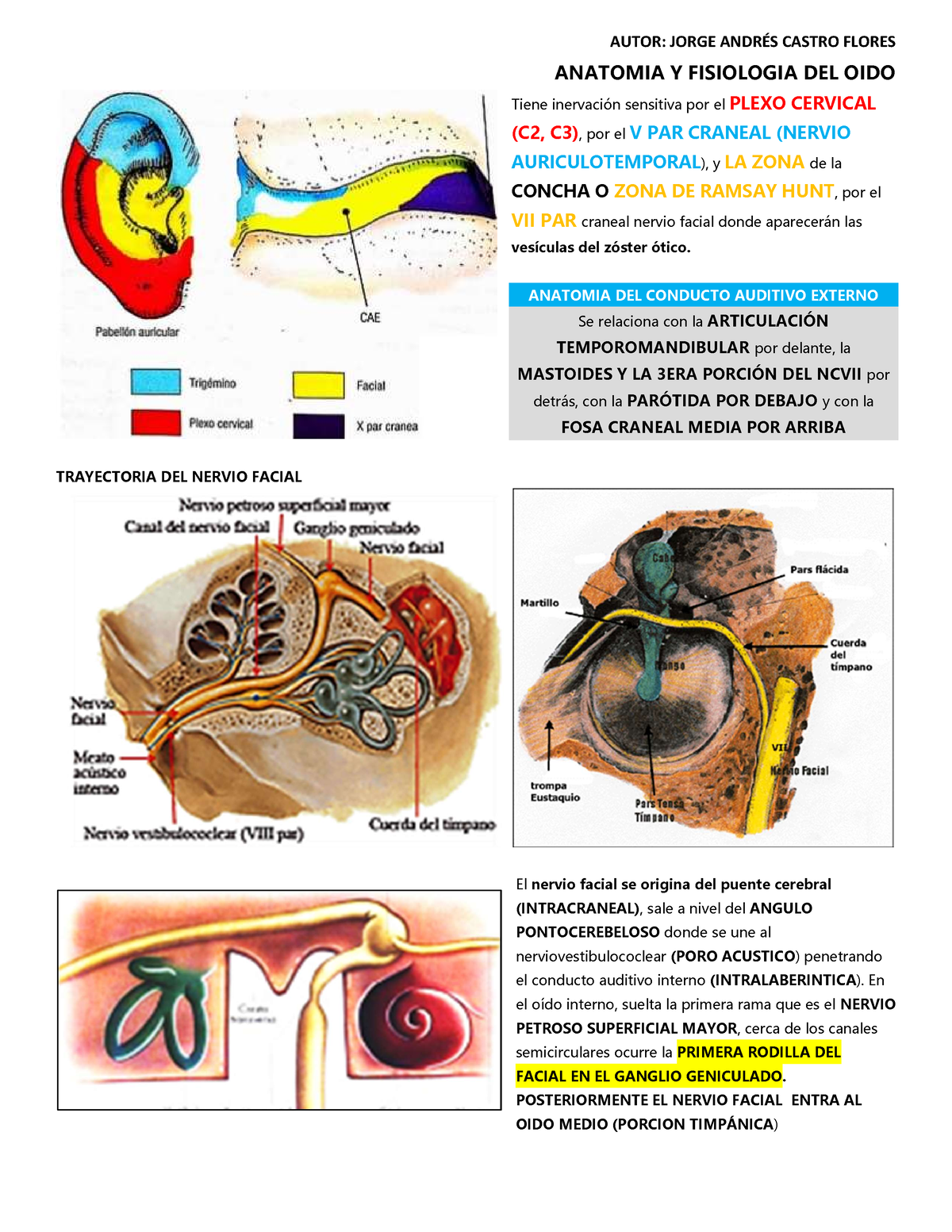 cuerda del tímpano en el oído medio