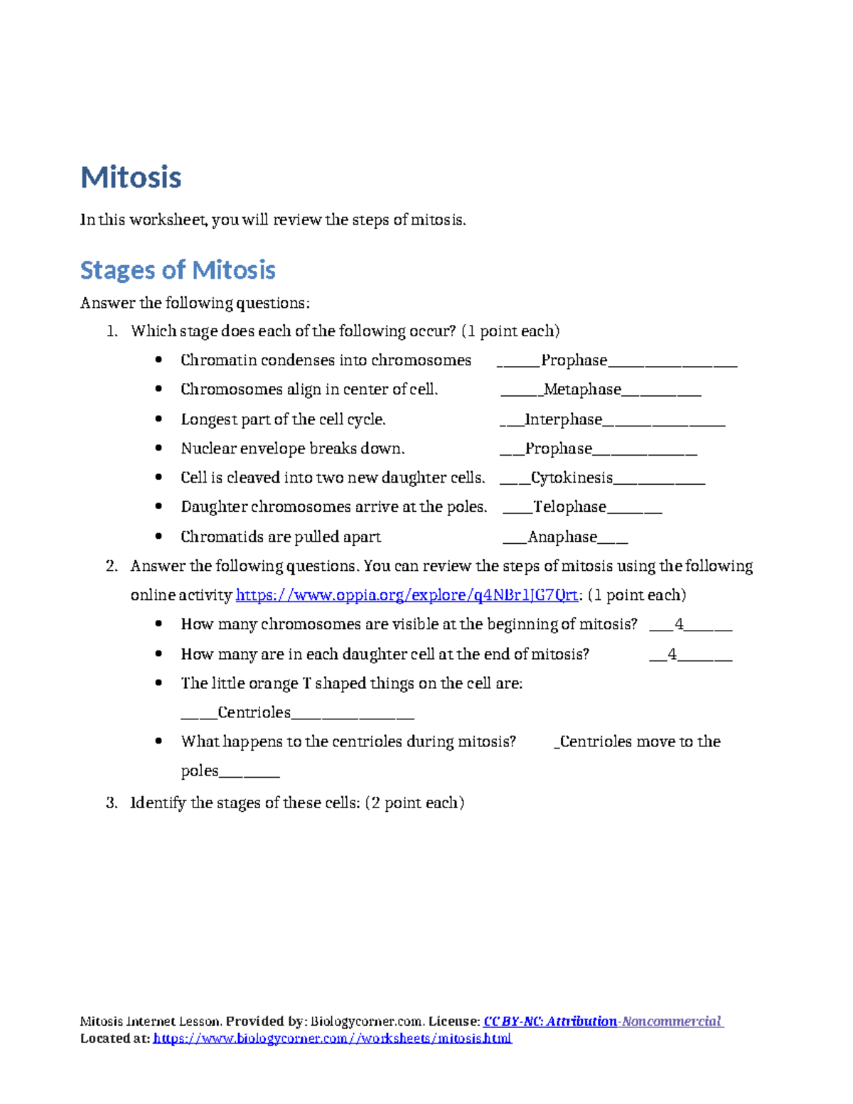 Lab 8 Mitosis Worksheet - Mitosis In this worksheet, you will review ...