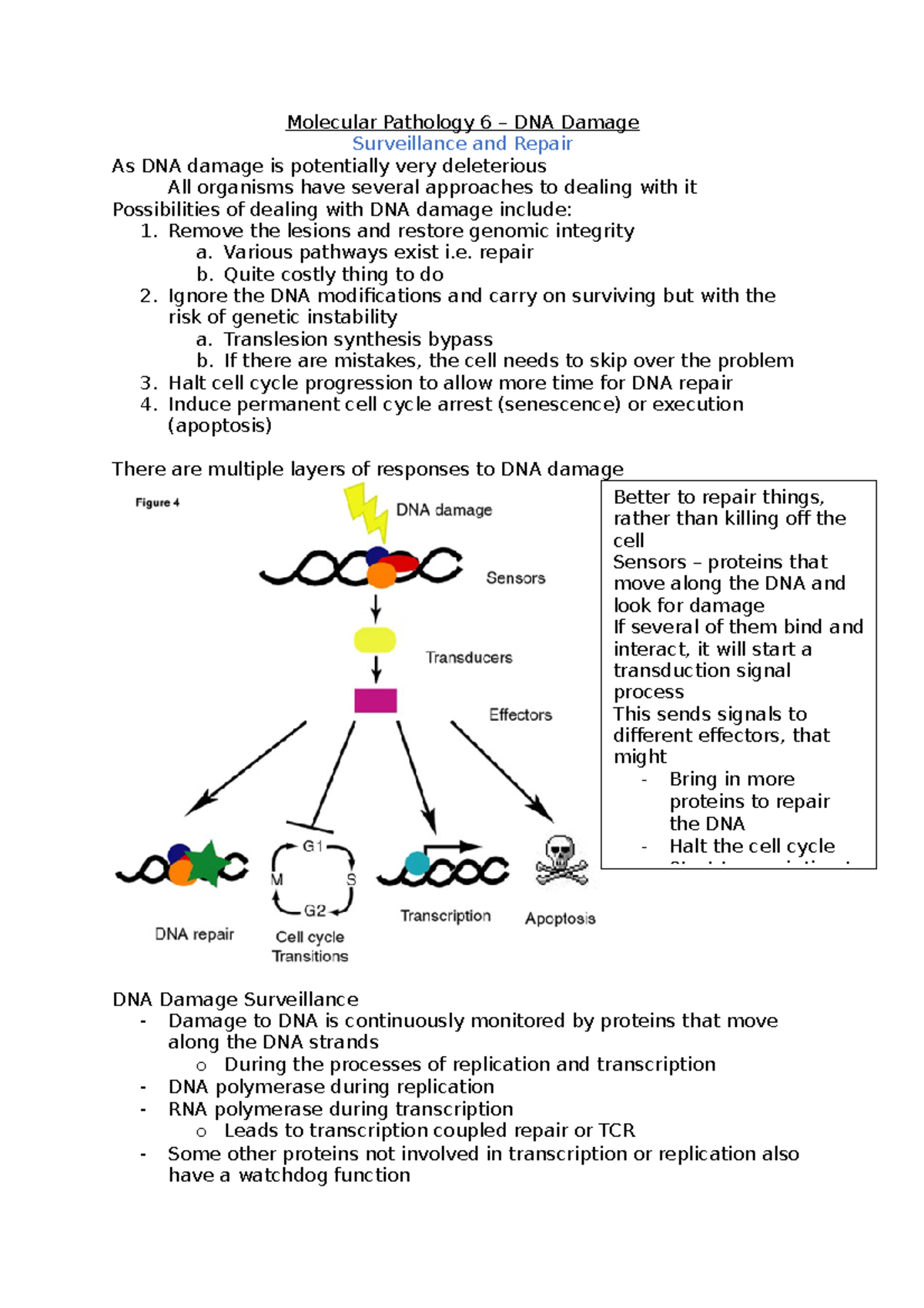 Molecular pathology lab picture