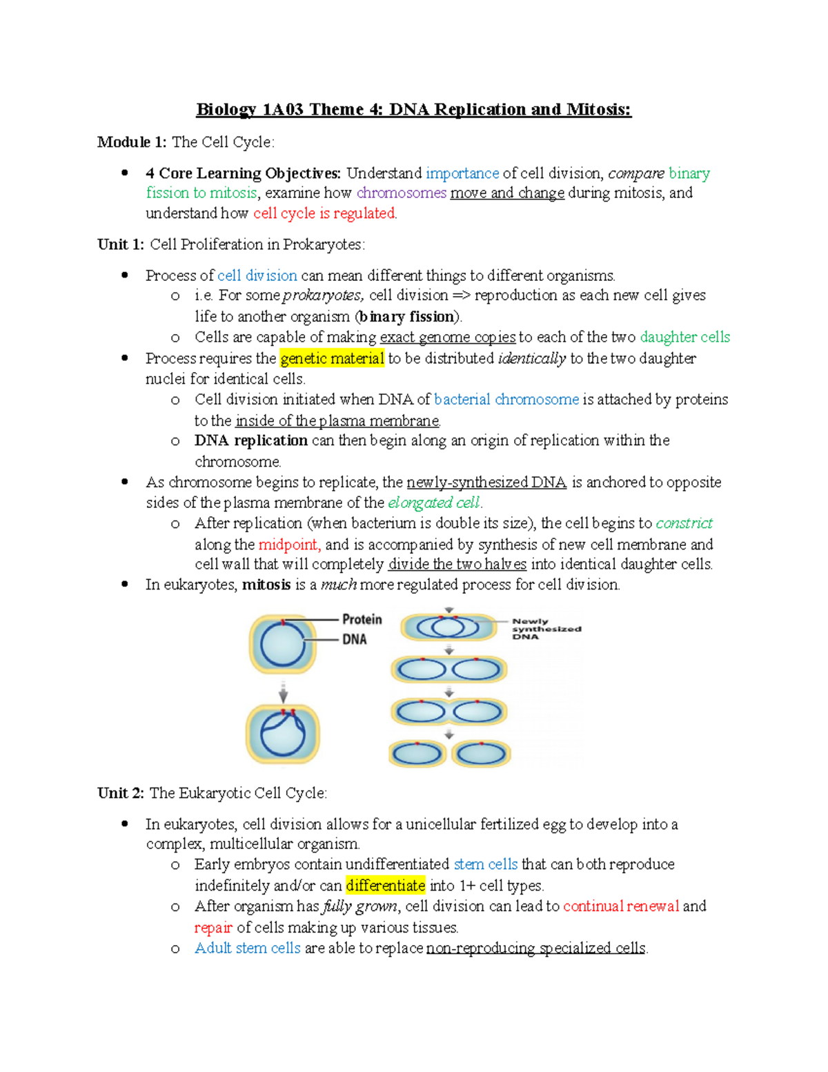 Biology 1A03 Theme 4 - Unit 1: Cell Proliferation In Prokaryotes ...