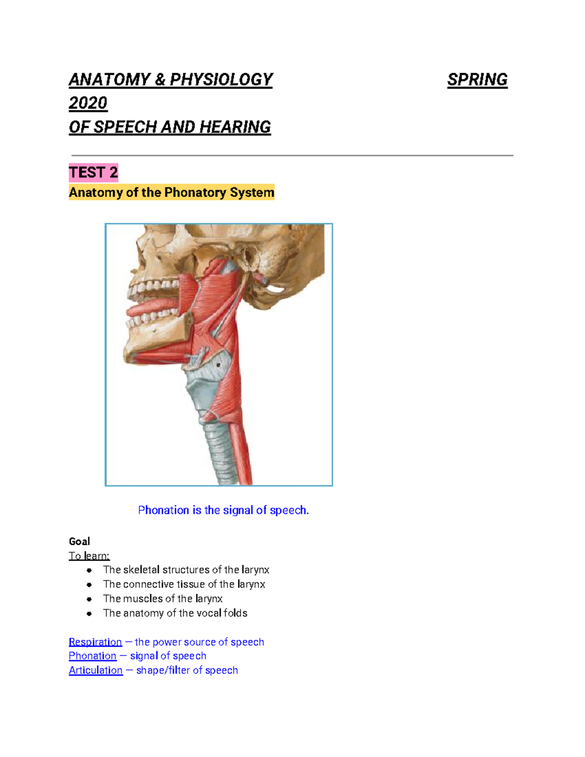 A&P TEST 2 - S 2020 - Lecture Notes TEST 2 - ANATOMY & PHYSIOLOGY ...