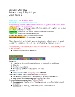 Chapter+3+study+guide+ - Chapter 3 List the differences between Anatomy ...