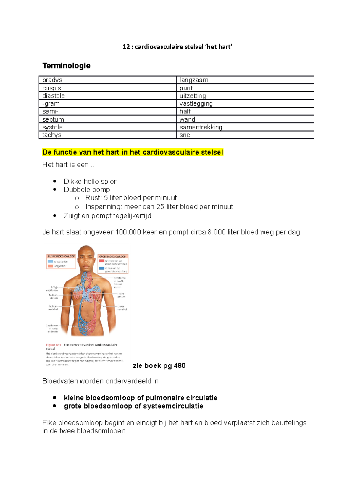 Hoofdstuk-12 - 12 : Cardiovasculaire Stelsel Terminologie Bradys Cuspis ...