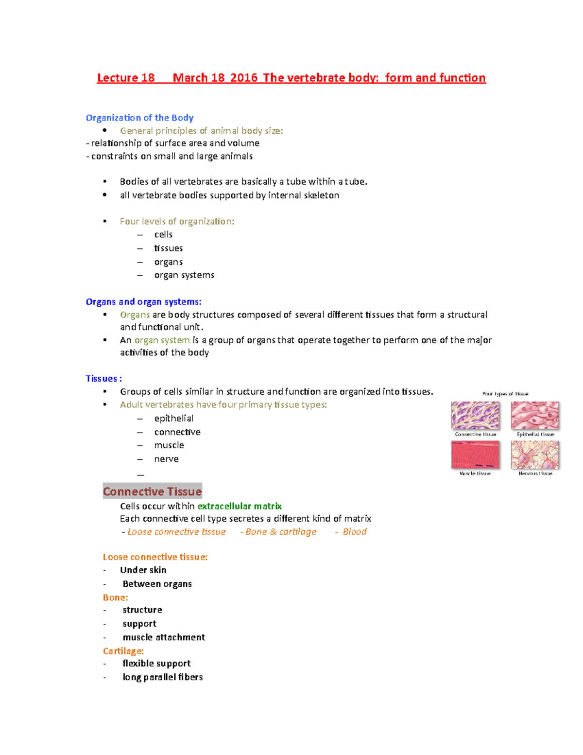 Lecture 18 - Lecture 18 March 18 2016 The vertebrate body: form and ...