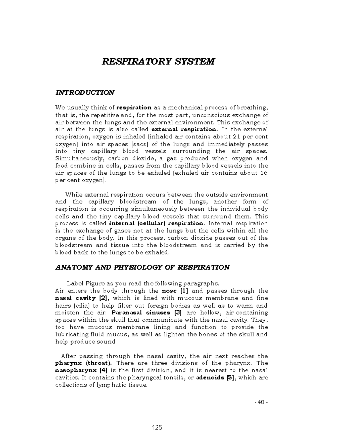 Anatomy and Physiology of Respiratory System - 40 - RESPIRATORY SYSTEM ...