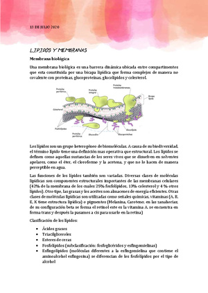 BIOQUIMICA - QM301 - UNICAH - Studocu