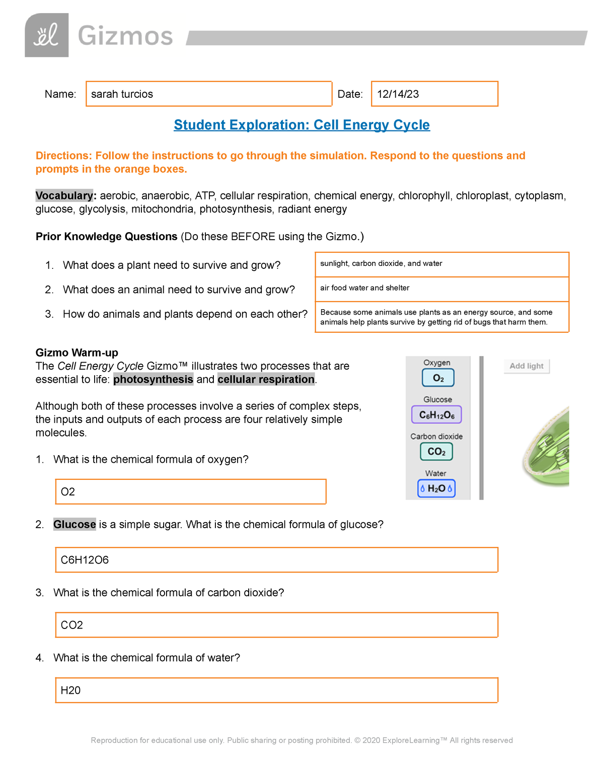 Copy Of Cell Energy Gizmo Worksheet SE - Name: Sarah Turcios Date: 12 ...