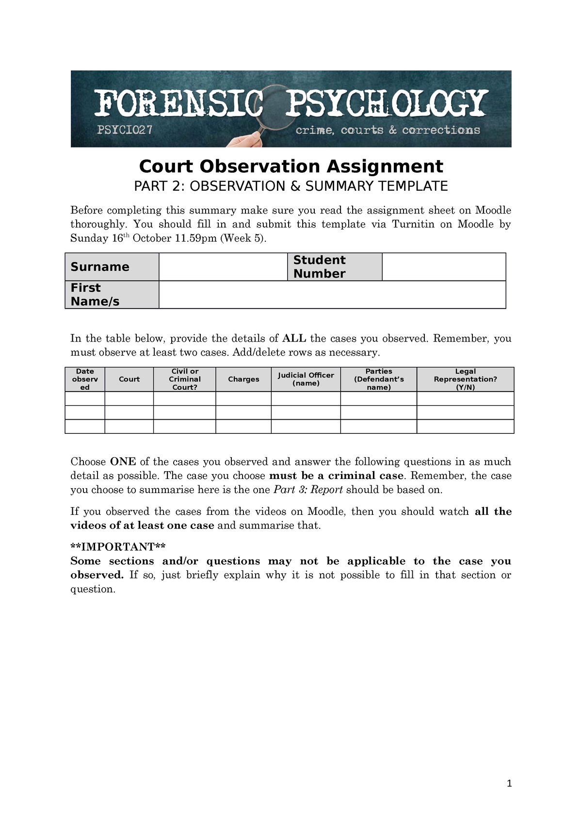 court observation assignment example
