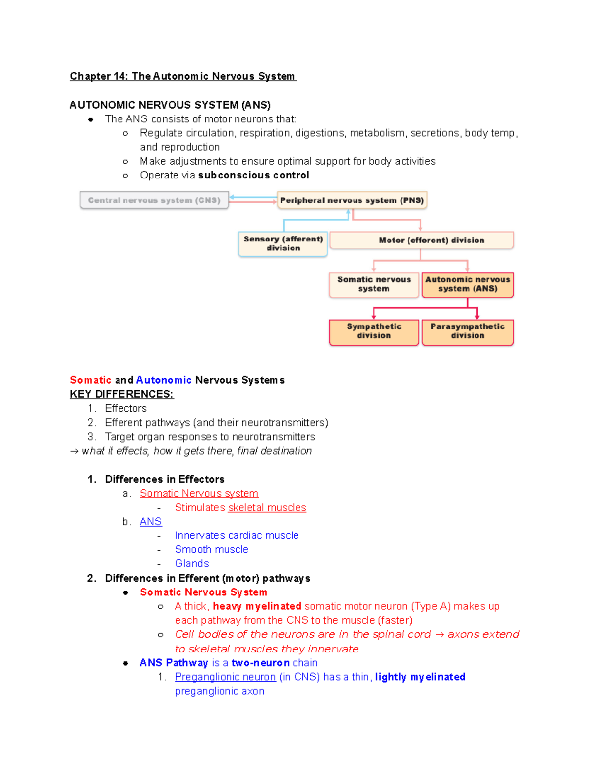 Chapter 14 ANS - Chapter 14: The Autonomic Nervous System AUTONOMIC ...