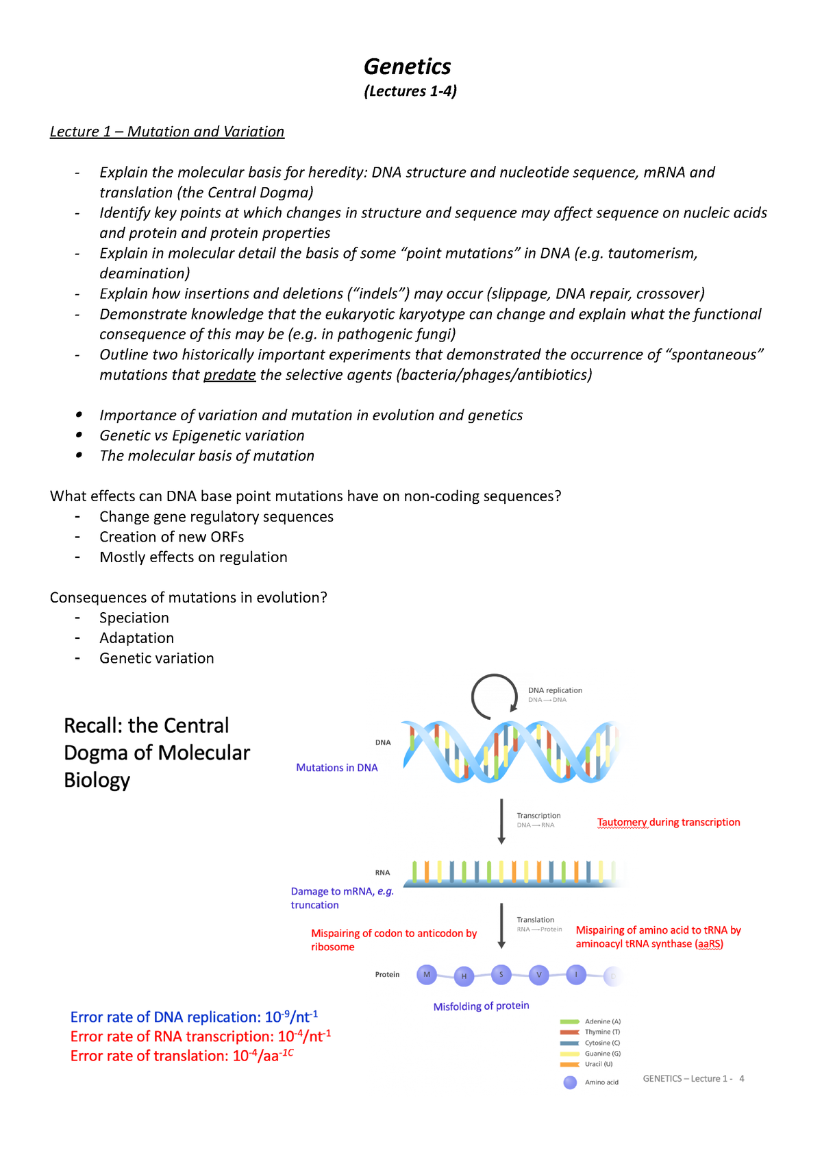 GEN 1-4 - Lecture notes - Genetics (Lectures 1-4) Lecture 1 – Mutation ...