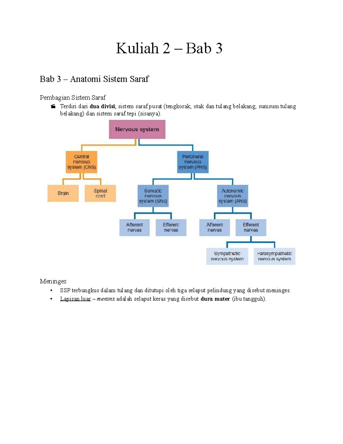 Anatomi Saraf Kuliah 2 Bab 3 Bab 3 Anatomi Sistem Saraf Pembagian