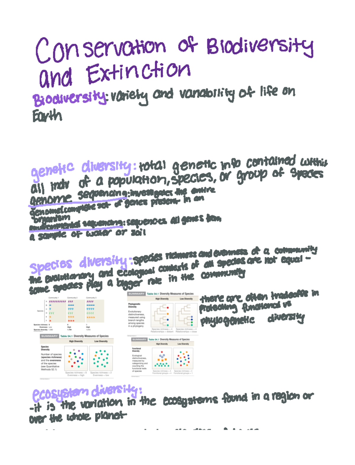 Biodiversity And Extinction Answer Key – GEAIMQ