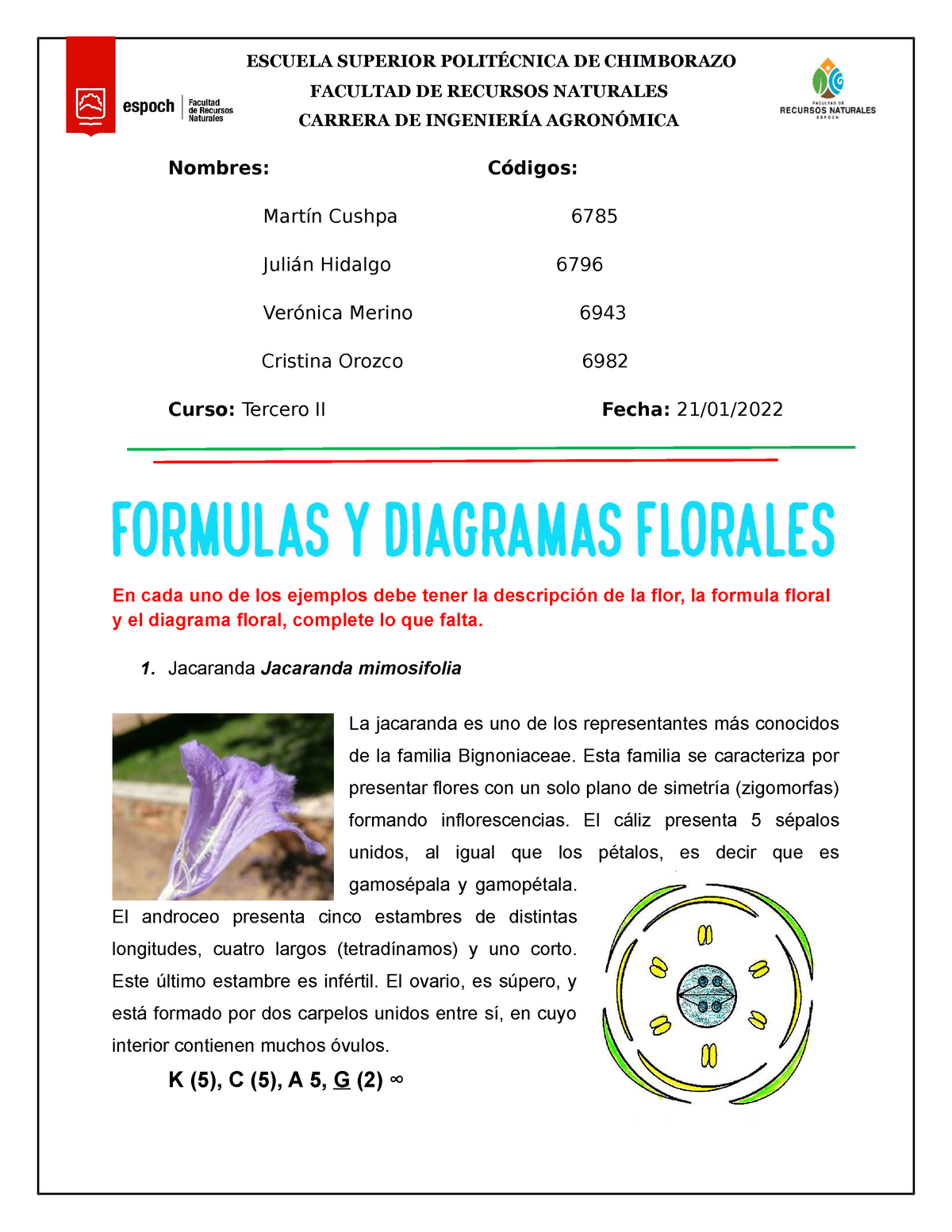 Formulas y Diagramas Florales - Nombres: Códigos: Martín Cushpa 6785 Julián  Hidalgo 6796 Verónica - Studocu