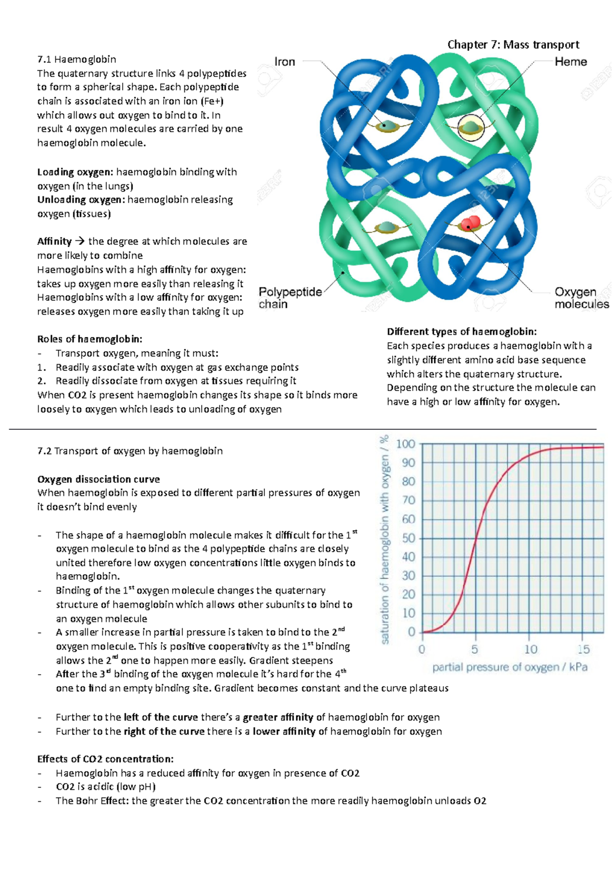 mass-transport-a-level-biology-notes-7-haemoglobin-the-quaternary