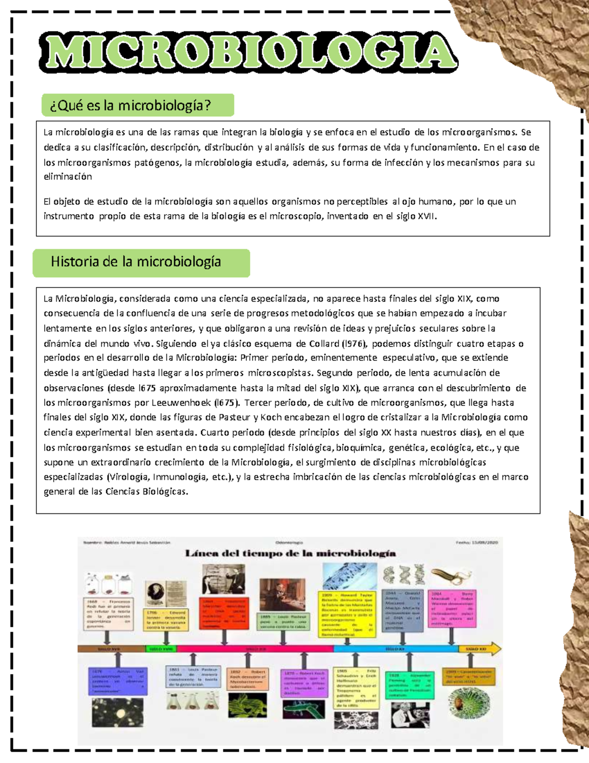 Historia de la microbiología de los alimentos y conceptos básicos ...