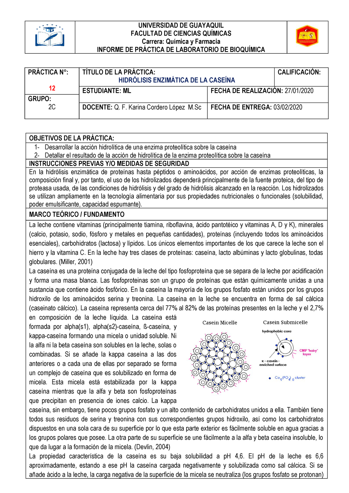 Determinacion De Proteinas Ug Universidad De Guayaquil Facultad De Ciencias Qu Micas Carrera Qu Mica Farmacia Informe De Pr Ctica De Laboratorio De Bioqu Studocu