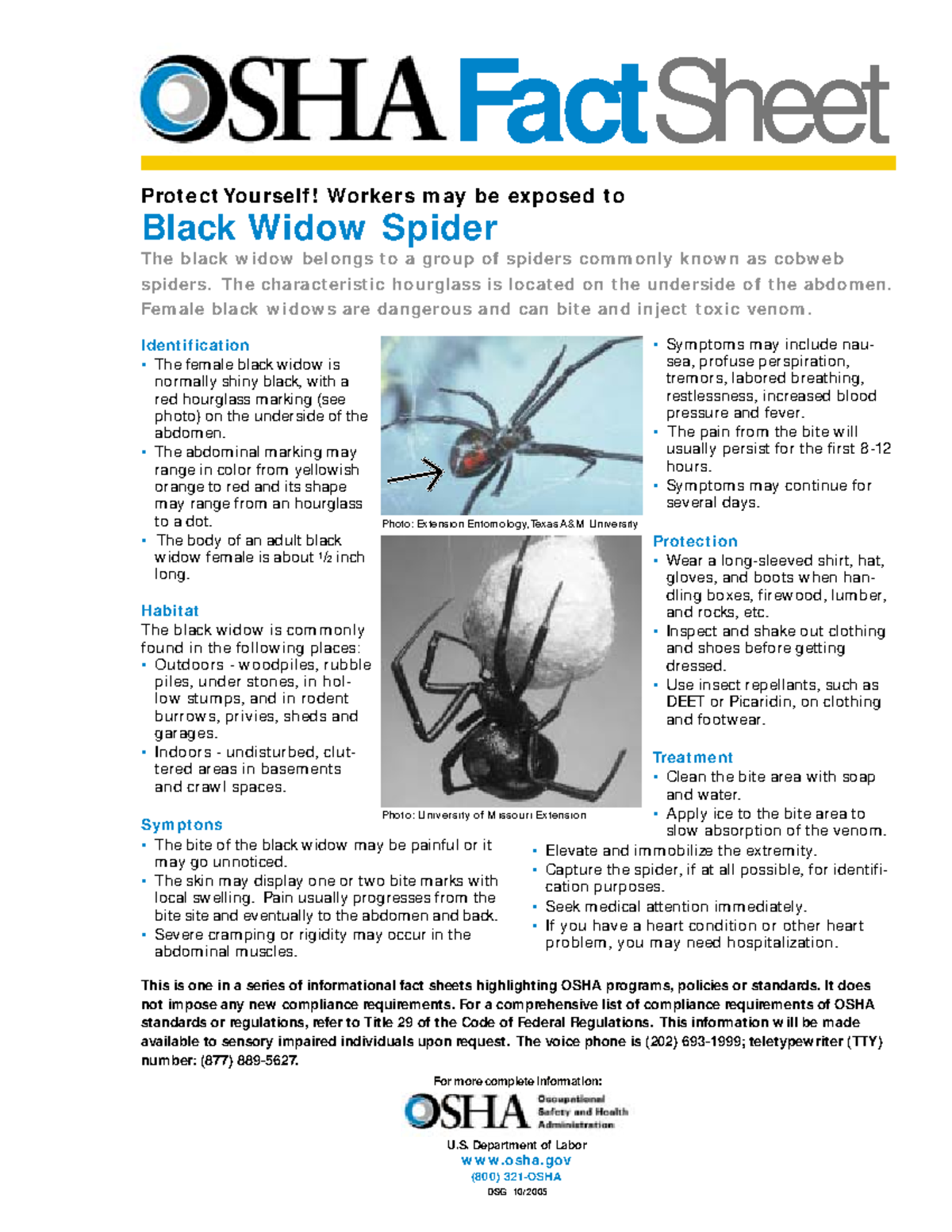 Black widow spider - Symptoms may include nau- sea, profuse ...