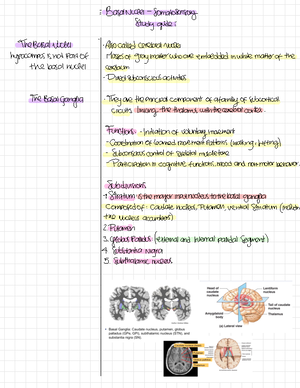 Neuroanatomy spinal cord - = . Spe ####### NAL ORDE gross ...