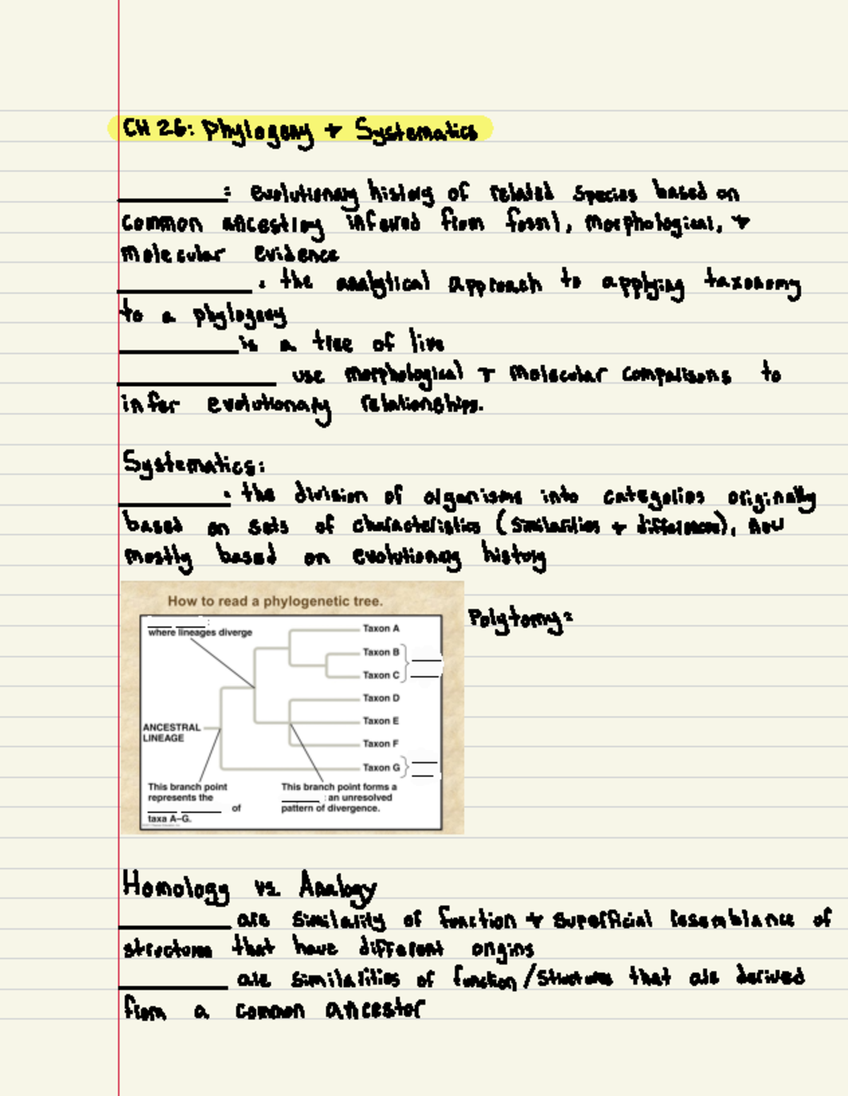 Blank CH-26 - CH 26 : Phylogeny t Systematics = evolutionary history of ...