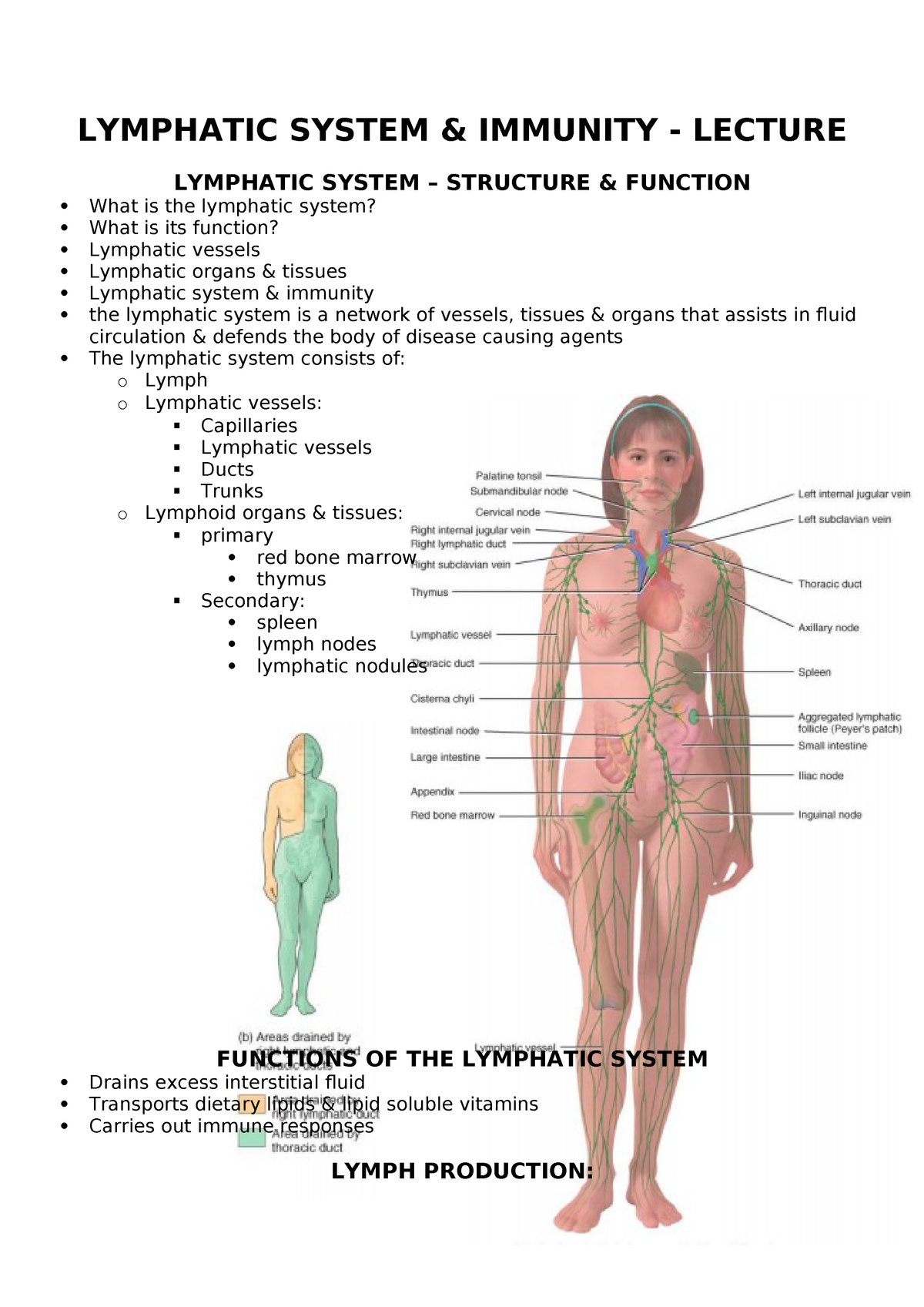 Lymphatic system - lecture - HLTH108 Introduction to Anatomy - StuDocu