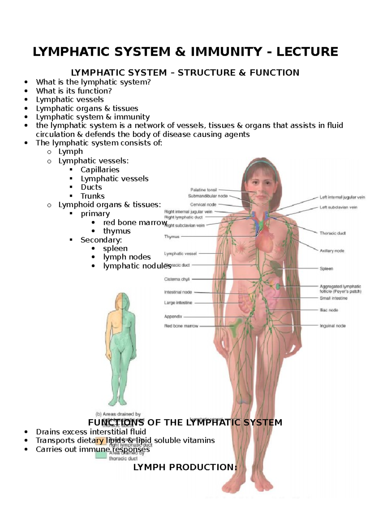 Lymphatic system - lecture - LYMPHATIC SYSTEM & IMMUNITY - LECTURE ...