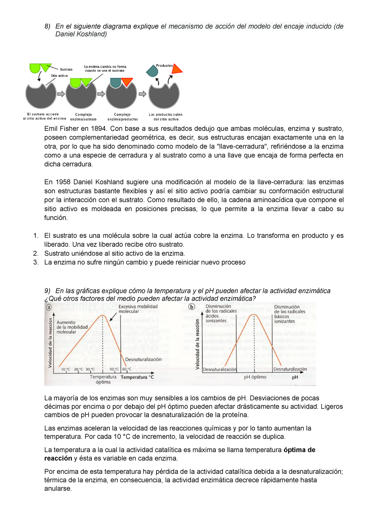 Bioquímica - 8) En el siguiente diagrama explique el mecanismo de acción  del modelo del encaje - Studocu
