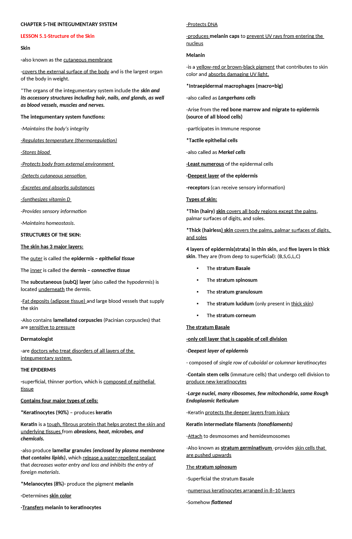 Anaphy- Chapter-5 - Notes - CHAPTER 5-THE INTEGUMENTARY SYSTEM LESSON 5 ...