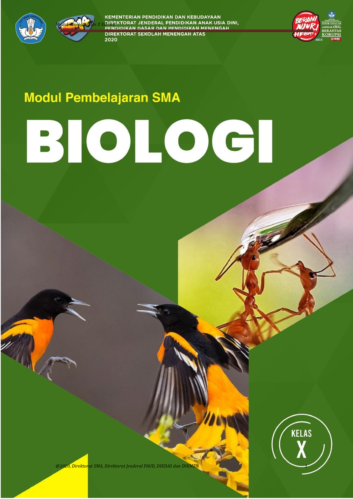 Modul AJAR Biologi Kelas X - Modul Biologi Kelas X KD 3. @2020 ...