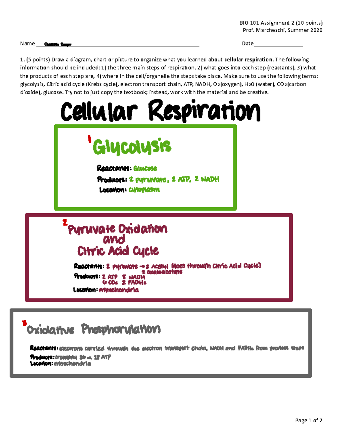 Bio Assignment 2 - Covers the topics for the second exam. - BIO 101 ...